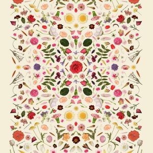 Meet your Posher, Cj